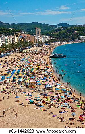 Beach of Lloret de Mar, La Selva, Costa Brava, Girona province, Catalonia, Spain. View Large Photo Image Stock Image - Beach of Lloret de Mar, La Selva, Costa Brava, Girona province, Catalonia, Spain.. Fotosearch