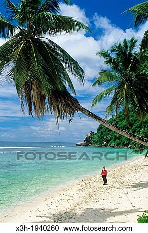 beach of Mahe island, Republic of Seychelles, Indian Ocean View Large Photo Image Stock Image - beach of Mahe island, Republic of Seychelles, Indian Ocean. Fotosearch