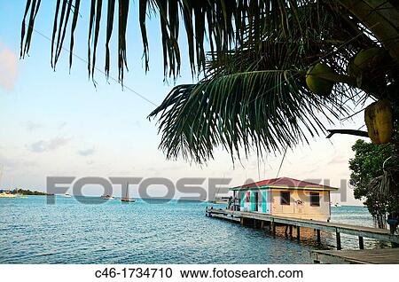 Beach Placencia Stann Creek District Belice. View Large Photo Image Stock Image - Beach Placencia Stann Creek District Belice.. Fotosearch