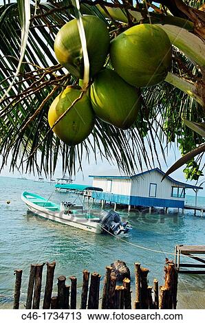 Stock Image - Beach Placencia Stann Creek District Belice.. Fotosearch