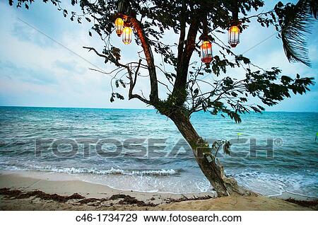 Beach Placencia Stann Creek District Belice. View Large Photo Image Stock Photo - Beach Placencia Stann Creek District Belice.. Fotosearch