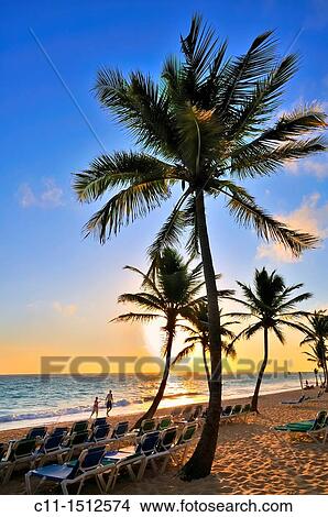 beach, Riu Palace, hotel, Punta Cana, Dominican Republic, Caribbean View Large Photo Image Picture - beach, Riu Palace, hotel, Punta Cana, Dominican Republic, Caribbean. Fotosearch