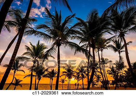 Stock Image - beach; Riu Palace; hotel; Punta Cana; Dominican Republic; Caribbean.. Fotosearch