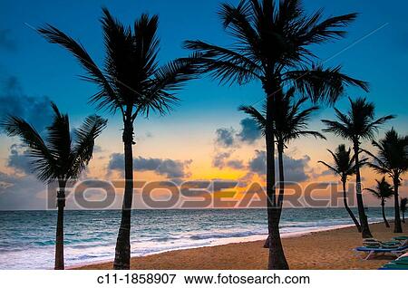 beach, Riu Palace, hotel, Punta Cana, Dominican Republic, Caribbean View Large Photo Image Stock Photo - beach, Riu Palace, hotel, Punta Cana, Dominican Republic, Caribbean. Fotosearch