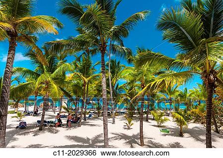 beach; Riu Palace; hotel; Punta Cana; Dominican Republic; Caribbean. View Large Photo Image Stock Photograph - beach; Riu Palace; hotel; Punta Cana; Dominican Republic; Caribbean.. Fotosearch