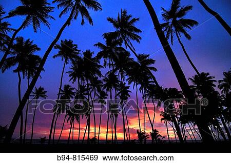 Beach, Wadduwa, Sri Lanka View Large Photo Image Stock Photo - Beach, Wadduwa, Sri Lanka. Fotosearch