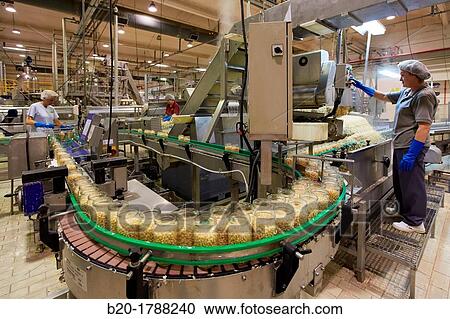 Bean bottling, Production line of canned vegetables and beans, Canning Industry, Agri-food, Logistics Center, Gutarra-Riberebro Group, Villafranca, Navarre, Spain View Large Photo Image Stock Image - Bean bottling, Production line of canned vegetables and beans, Canning Industry, Agri-food, Logistics Center, Gutarra-Riberebro Group, Villafranca, Navarre, Spain. Fotosearch