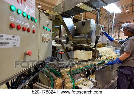 Bean bottling, Production line of canned vegetables and beans, Canning Industry, Agri-food, Logistics Center, Gutarra-Riberebro Group, Villafranca, Navarre, Spain View Large Photo Image Stock Image - Bean bottling, Production line of canned vegetables and beans, Canning Industry, Agri-food, Logistics Center, Gutarra-Riberebro Group, Villafranca, Navarre, Spain. Fotosearch