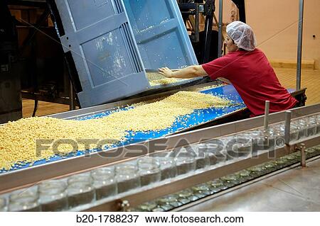 Bean bottling, Production line of canned vegetables and beans, Canning Industry, Agri-food, Logistics Center, Gutarra-Riberebro Group, Villafranca, Navarre, Spain View Large Photo Image Stock Photo - Bean bottling, Production line of canned vegetables and beans, Canning Industry, Agri-food, Logistics Center, Gutarra-Riberebro Group, Villafranca, Navarre, Spain. Fotosearch