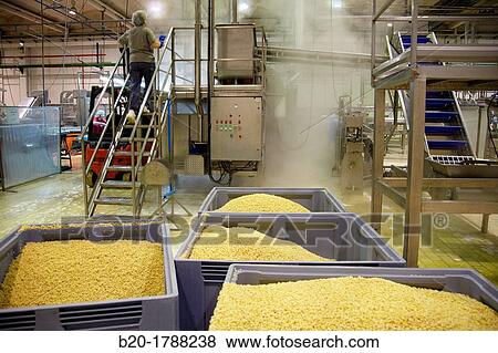 Bean bottling, Production line of canned vegetables and beans, Canning Industry, Agri-food, Logistics Center, Gutarra-Riberebro Group, Villafranca, Navarre, Spain View Large Photo Image Stock Photo - Bean bottling, Production line of canned vegetables and beans, Canning Industry, Agri-food, Logistics Center, Gutarra-Riberebro Group, Villafranca, Navarre, Spain. Fotosearch