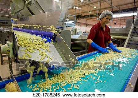 Bean bottling, Production line of canned vegetables and beans, Canning Industry, Agri-food, Logistics Center, Gutarra-Riberebro Group, Villafranca, Navarre, Spain View Large Photo Image Stock Photograph - Bean bottling, Production line of canned vegetables and beans, Canning Industry, Agri-food, Logistics Center, Gutarra-Riberebro Group, Villafranca, Navarre, Spain. Fotosearch