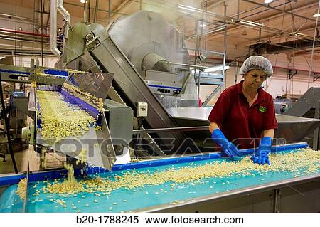 Bean bottling, Production line of canned vegetables and beans, Canning Industry, Agri-food, Logistics Center, Gutarra-Riberebro Group, Villafranca, Navarre, Spain View Large Photo Image Stock Photography - Bean bottling, Production line of canned vegetables and beans, Canning Industry, Agri-food, Logistics Center, Gutarra-Riberebro Group, Villafranca, Navarre, Spain. Fotosearch