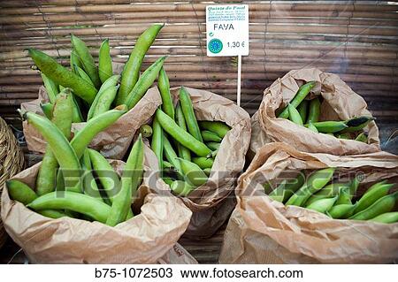 Beans View Large Photo Image Stock Image - Beans. Fotosearch