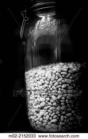 beans View Large Photo Image Stock Image - beans. Fotosearch