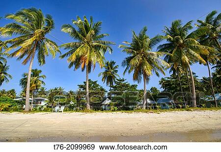 beautiful beach on Koh Mook island in Thailand. View Large Photo Image Stock Photo - beautiful beach on Koh Mook island in Thailand.. Fotosearch