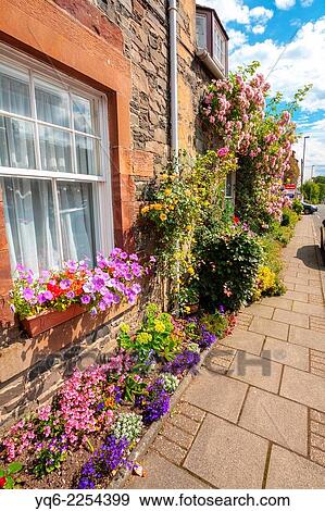 Stock Photo - Beautiful flowers decorating old houses in the streets of a small Scottish village, Broughton. Fotosearch