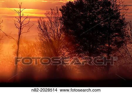 Beautiful Landscape in sunrise at the Woernitz river. The sun rising over the horizon, trees in silhouette against it and the clouds painted in golden light - Region Hesselberg, Bavaria/Germany. View Large Photo Image Picture - Beautiful Landscape in sunrise at the Woernitz river. The sun rising over the horizon, trees in silhouette against it and the clouds painted in golden light - Region Hesselberg, Bavaria/Germany.. Fotosearch