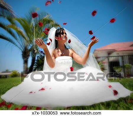 Beautiful Latina bride tosses rose petals up in the air after her wedding ceremony View Large Photo Image Stock Image - Beautiful Latina bride tosses rose petals up in the air after her wedding ceremony. Fotosearch