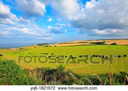 Beautiful summer farmland landscape, Scotland View Large Photo Image Stock Image - Beautiful summer farmland landscape, Scotland. Fotosearch