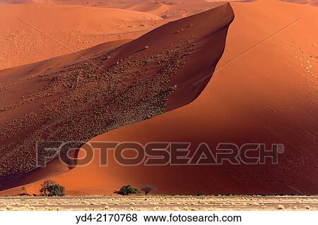 Stock Photo - Beautifull colours in the desert after the rain, Namib-Naukluft National Park, namib desert, Namibia.. Fotosearch