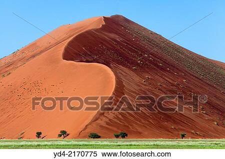 Beautifull colours in the desert after the rain, Namib-Naukluft National Park, namib desert, Namibia. View Large Photo Image Stock Photography - Beautifull colours in the desert after the rain, Namib-Naukluft National Park, namib desert, Namibia.. Fotosearch