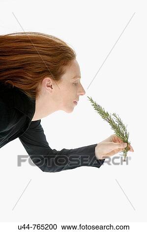 Stock Image - Beautifull woman smelling Rosemary. Fotosearch
