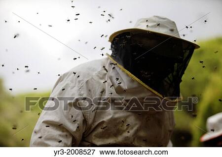 Bees buzz around a beekeeper of Puremiel, a honey company that produces organic raw honey, in the Los Alcornocales Natural Park, Cadiz, Andalusia, Spain, June 5, 2013. View Large Photo Image Stock Photo - Bees buzz around a beekeeper of Puremiel, a honey company that produces organic raw honey, in the Los Alcornocales Natural Park, Cadiz, Andalusia, Spain, June 5, 2013.. Fotosearch