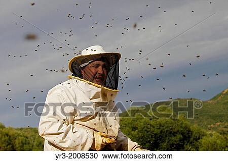 Stock Image - Bees fly around a beekeeper of Puremiel, a honey company that produces organic raw honey, in Puerto Serrano, Cadiz, Andalusia, Spain, June 17, 2013.. Fotosearch