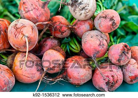 Beets at a farmer's market View Large Photo Image Stock Image - Beets at a farmer's market. Fotosearch