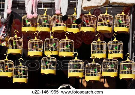 Beijing (China): fake singing birds in cages sold during the Spring Festival in Ditan Park View Large Photo Image Stock Photography - Beijing (China): fake singing birds in cages sold during the Spring Festival in Ditan Park. Fotosearch