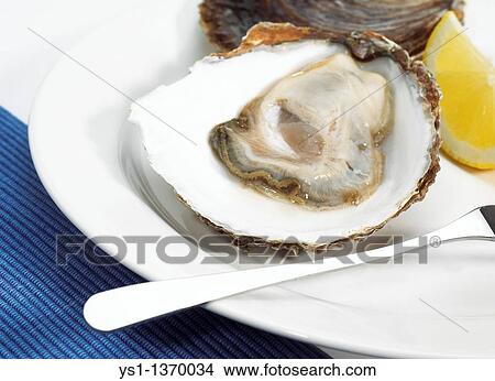 Picture - BELON OYSTER ostrea edulis, A FRENCH SPECY ON PLATE. Fotosearch