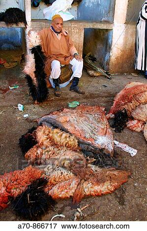 Berber sells sheep skins in the Medina (Souk) of Marrakesch View Large Photo Image Stock Photo - Berber sells sheep skins in the Medina (Souk) of Marrakesch. Fotosearch