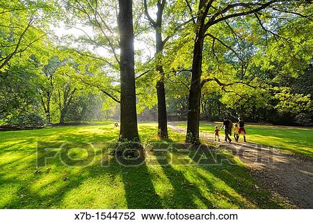 Berlin Germany Family walking in the Tiergrten park View Large Photo Image Stock Image - Berlin Germany Family walking in the Tiergrten park. Fotosearch