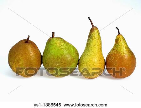 Beurre Hardy, Conference, Comice et Williams Pears, pyrus communis, Fruits against White Background View Large Photo Image Stock Photography - Beurre Hardy, Conference, Comice et Williams Pears, pyrus communis, Fruits against White Background. Fotosearch
