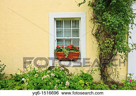 Beutiful plants in front of a Scottish house View Large Photo Image Stock Photograph - Beutiful plants in front of a Scottish house. Fotosearch