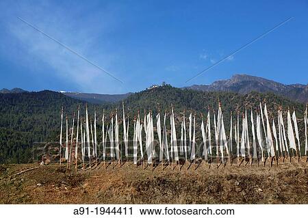 Bhutan (kingdom of), District of Paro, the City, prayer flags for the dead View Large Photo Image Stock Image - Bhutan (kingdom of), District of Paro, the City, prayer flags for the dead. Fotosearch