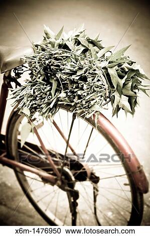 Stock Image - bicycle and merchant Hanoi, Vietnam. Fotosearch