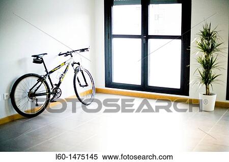 Bicycle and Plant in home View Large Photo Image Stock Photography - Bicycle and Plant in home. Fotosearch