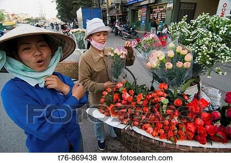 bicycle flower vendor in Hanoi Vietnam View Large Photo Image Stock Photo - bicycle flower vendor in Hanoi Vietnam. Fotosearch