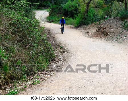 Bicycle path View Large Photo Image Stock Photography - Bicycle path. Fotosearch