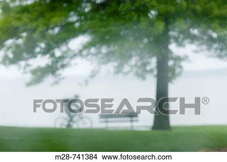 Bicyclist riding through waterfront park in the rain View Large Photo Image Picture - Bicyclist riding through waterfront park in the rain. Fotosearch