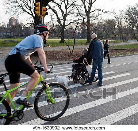 Bicyclists, joggers, and pedestrians compete for space in Central Park in New York View Large Photo Image Stock Image - Bicyclists, joggers, and pedestrians compete for space in Central Park in New York. Fotosearch