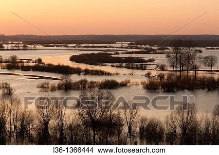 Biebrza National Park Spring floodplain of Biebrza and Narew river Sunset Poland. View from Strekowa Gora View Large Photo Image Picture - Biebrza National Park Spring floodplain of Biebrza and Narew river Sunset Poland. View from Strekowa Gora. Fotosearch