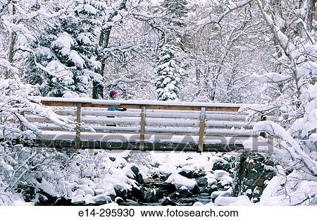 Big Cottonwood Canyon Trials. Wasatch-Cache National Forest. Utah, USA View Large Photo Image Stock Image - Big Cottonwood Canyon Trials. Wasatch-Cache National Forest. Utah, USA. Fotosearch