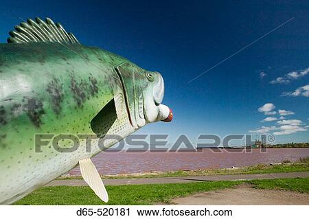 Big Fish!. Chequamegon Bay. Lake Superior Shore. Ashland. Wisconsin. USA. View Large Photo Image Stock Image - Big Fish!. Chequamegon Bay. Lake Superior Shore. Ashland. Wisconsin. USA.. Fotosearch