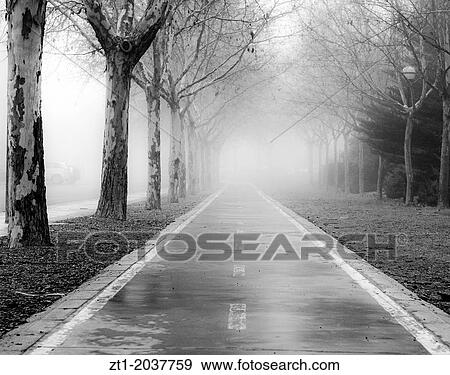 Bike lane in a foggy morning. In Teruel, Spain. View Large Photo Image Stock Photo - Bike lane in a foggy morning. In Teruel, Spain.. Fotosearch
