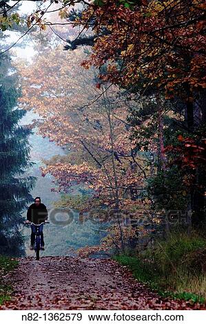 Biker in autumn forest - Bavaria/Germany View Large Photo Image Stock Photo - Biker in autumn forest - Bavaria/Germany. Fotosearch