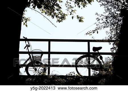 bikes left on fence by tree in countryside View Large Photo Image Stock Image - bikes left on fence by tree in countryside. Fotosearch