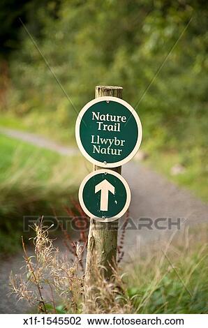 Bilingual welsh english nature trail sign Bluestone National Park resort holiday vacation centre, pembrokeshire west wales uk View Large Photo Image Stock Image - Bilingual welsh english nature trail sign Bluestone National Park resort holiday vacation centre, pembrokeshire west wales uk. Fotosearch