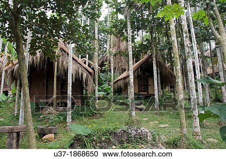 Bing Lang Gu, Hainan Island, China. View Large Photo Image Stock Image - Bing Lang Gu, Hainan Island, China.. Fotosearch